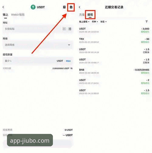 九博国际平台安全使用教程：从下载到异常处理全流程解析