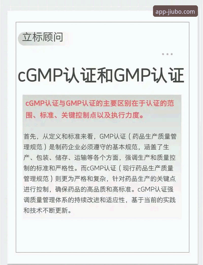 九博国际认证攻略全面解析：从技术视角验证安全性与可靠性
